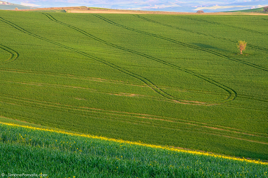 Geometrie in Val d'Orcia