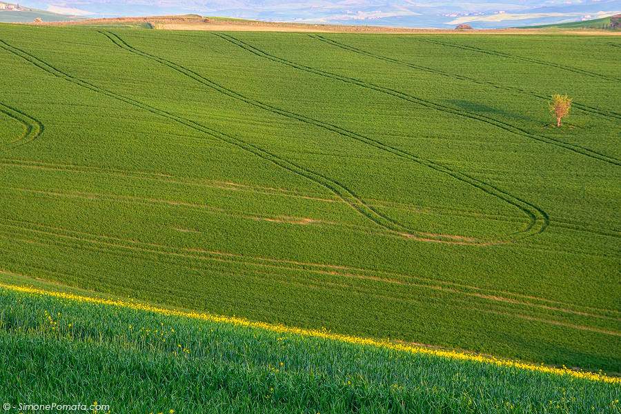 Geometries in Val d'Orcia