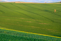 Geometries in Val d'Orcia
